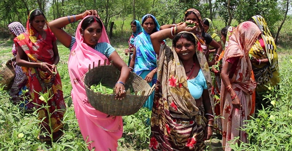Why 30 women rent two acres of land together