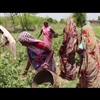 Video collective women farming Ekta Parishad